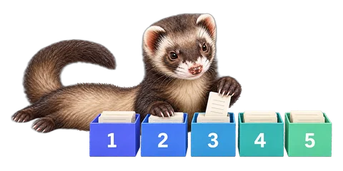 A ferret filing flashcards into five numbered boxes